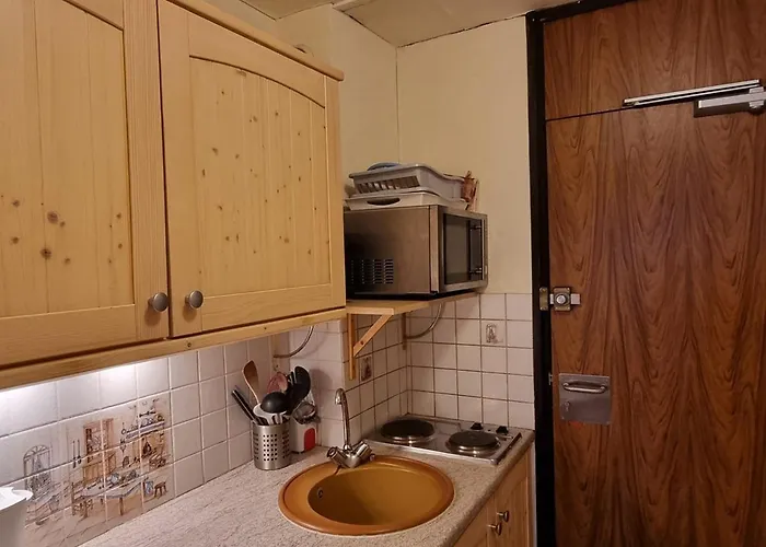 Apartment Chaleureux Au Pied Des Pistes, 3-4 Pers, Vue Mont Blanc - Fr-1-181-2566 La Plagne